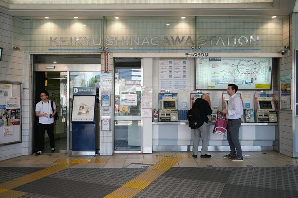 Voyager sereinement avec votre animal de compagnie